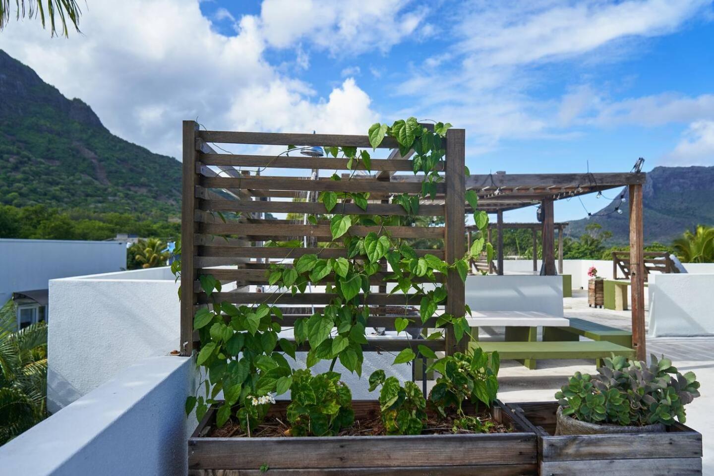 Loukaz -Entire Rental Units W Panoramic Rooftop Coteau Raffin Eksteriør bilde